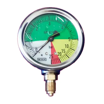 Glycerine Filled pressure Gauge (coloured)