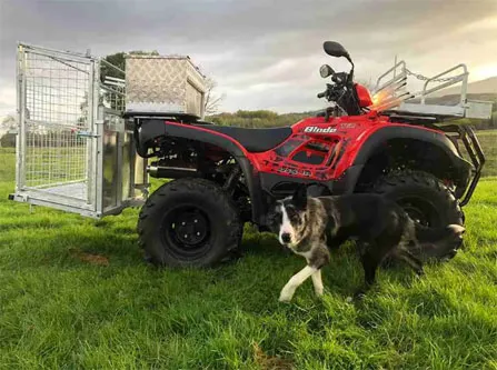 Quadcrate Multi-Purpose Lambing Package