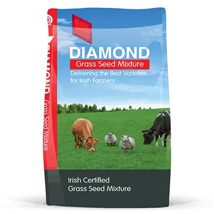 Diamond Horse Paddock Mix