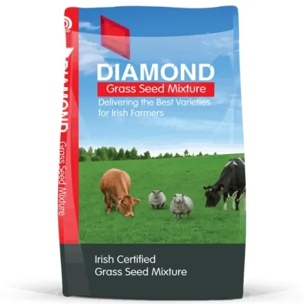 Diamond Organic Multi Species Sward