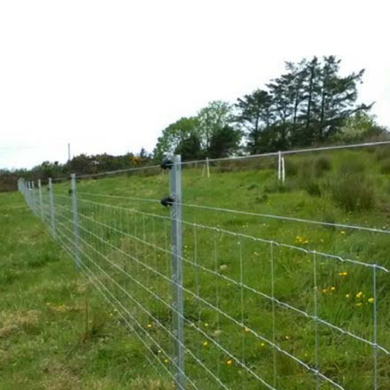 Clipex Beefy Post 2mtr 11 clip