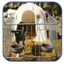 JFC Galvanised Metal Frame - 2 Bucket