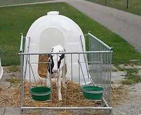 JFC Galvanised Metal Frame - 2 Bucket