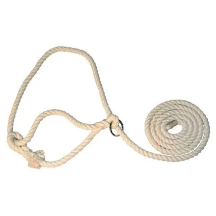 AH Cattle Halter With Ring