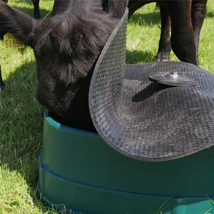 Basis Feeder (Loose Mineral Feeder)