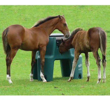 JFC Ringfort Foal Feeder [made to order]