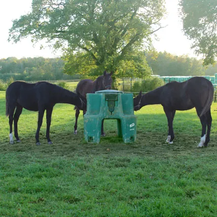 JFC Ringfort Foal Feeder [made to order]