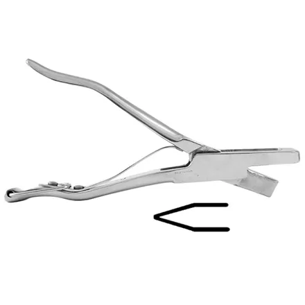 Ear Notcher (A Design)