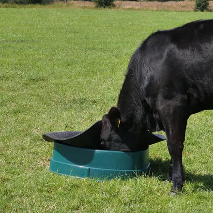 Basis Feeder (Loose Mineral Feeder)