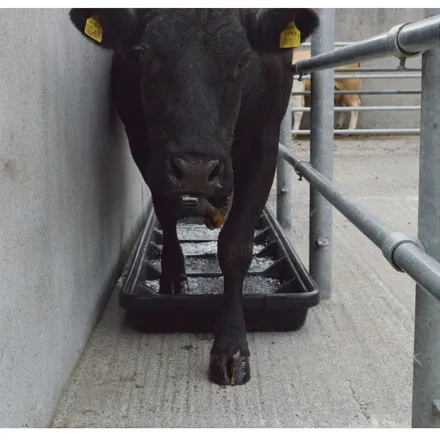 JFC Narrow Interlocking Footbath (Smooth Base)