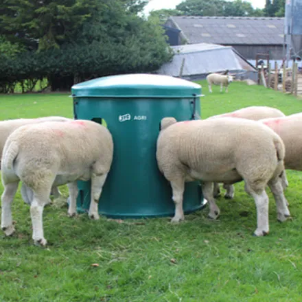 JFC Mini Sheep Haybell
