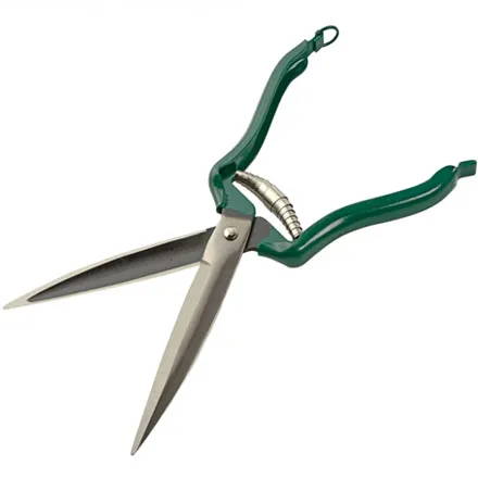 Dressing Shear