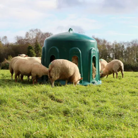 Sheep Haybell