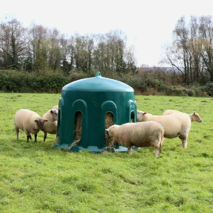 Sheep Haybell