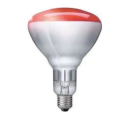 Solus 250 Watt Infra Red Heat Lamb Bulb