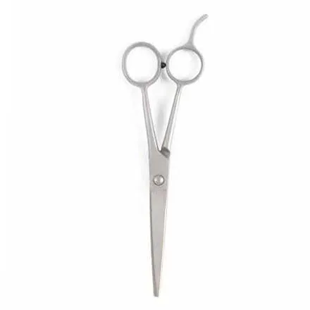 Scissors Straight Blade Economy