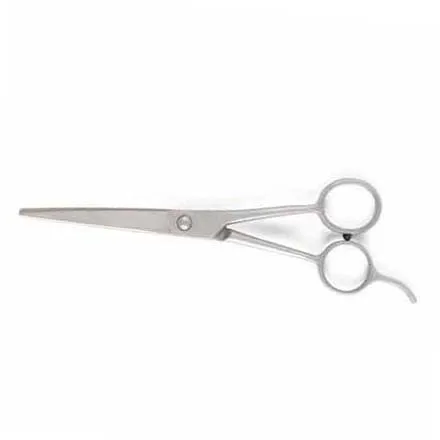Scissors Straight Blade Economy