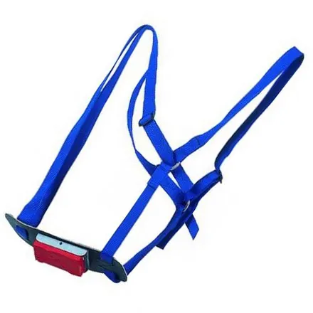 Super Blue Ram Harness