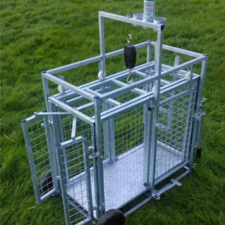 Sheep and Lamb Weighing Scales