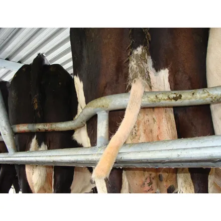 Tail Trimmer Drill Attachment