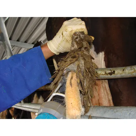 Tail Trimmer Drill Attachment