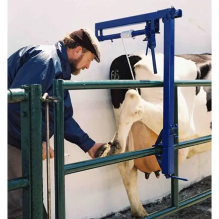Hoof Hoist