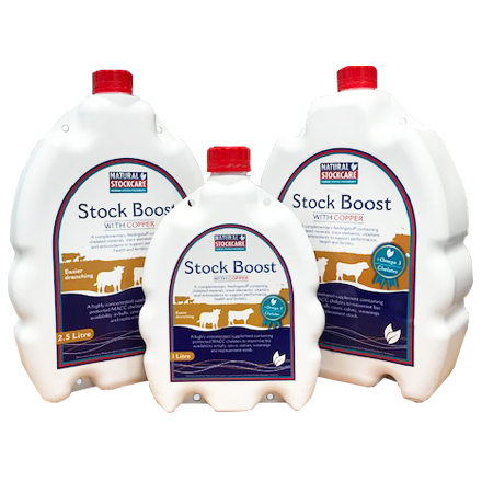 Stock Boost 2.5 Litre