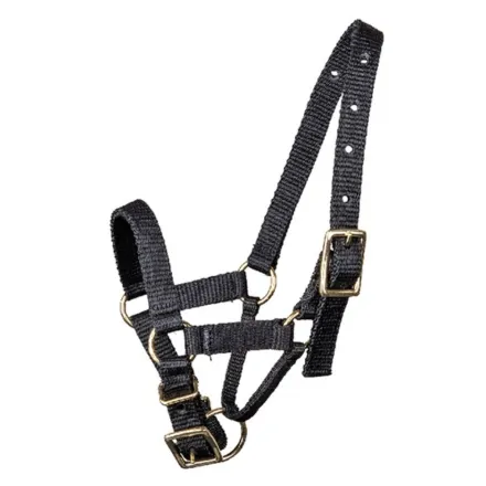 Alpaca halter - Black XS