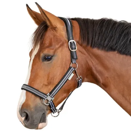 Athletic Halter - Asphalt/Black Cob
