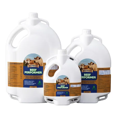 Beef Performer - fr 1 Litre