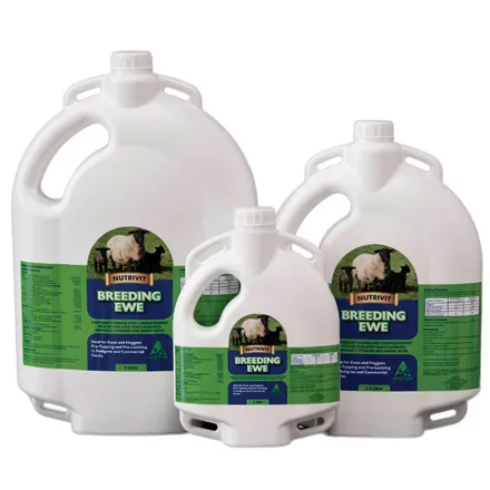 Breeding Ewe - fr 1 Litre