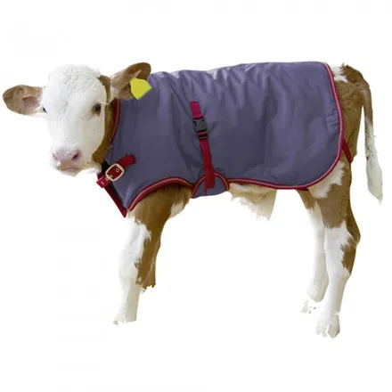 ThermoPlus Calf Coat 70 cm