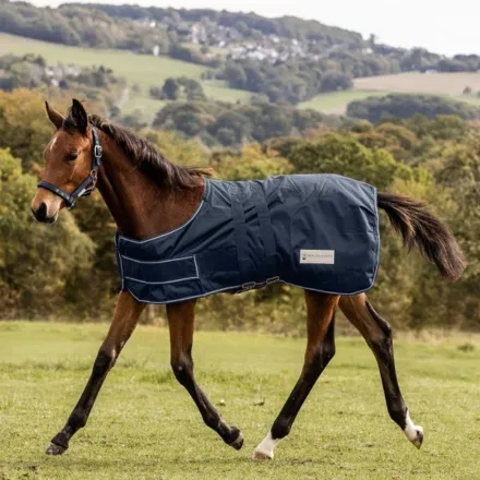 Comfort Turnout Rug For Foals One Size