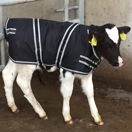 Cosy Calf Jacket Small