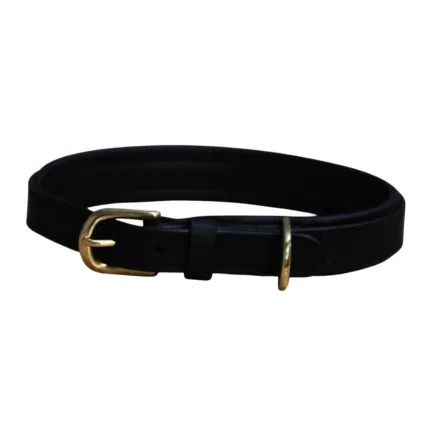 Mackey Padded Leather Dog Collar - Black Small (17")