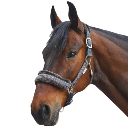 Elegant halter - Asphalt Pony