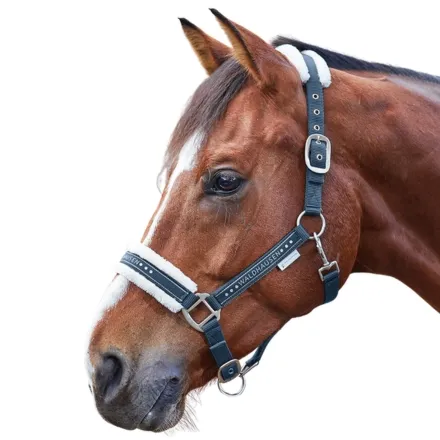 Elegant halter - Night Blue Pony