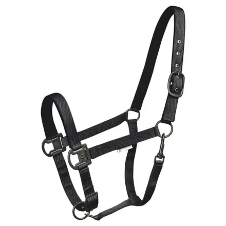 Gloomy Halter - Black Pony