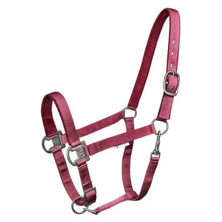 Gloomy Halter - Bordeaux Pony