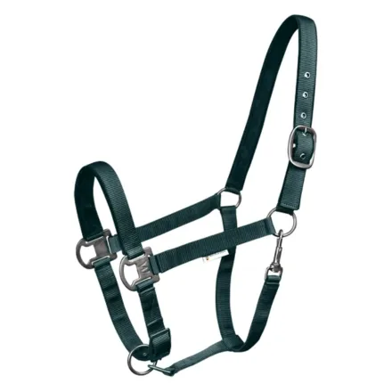 Gloomy Halter - Fir Green Pony