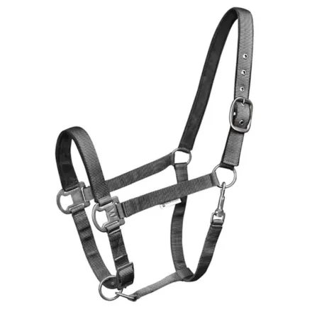 Gloomy Halter - Granite Grey Pony