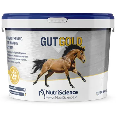 Nutriscience Gut Gold 750g