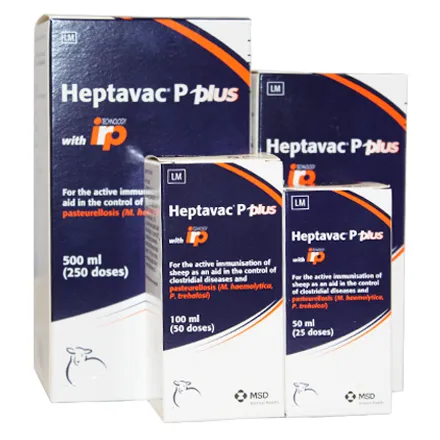 Heptavac P Plus 50 ML