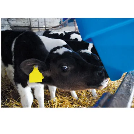 JFC Six Teat Compartment Feeder Starter