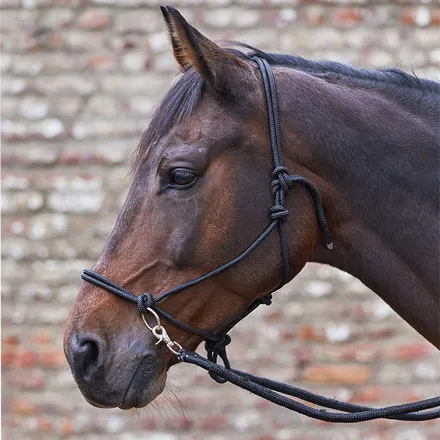 Agrihealth Knotted Halter with Reins Pony
