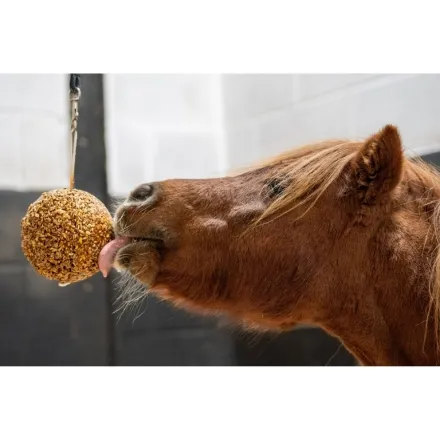 Likit Granola Stall Ball Apple