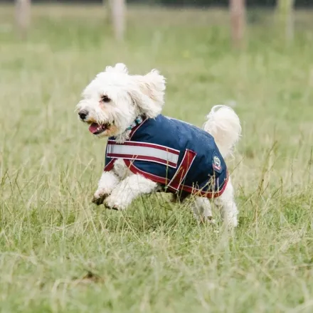 Mackey Buster Dog Coat - Navy/Burgundy 30cm