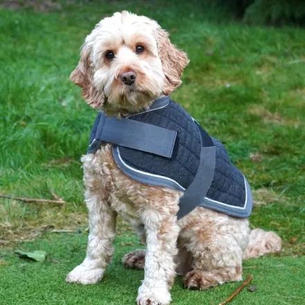 Mackey Thermo Dog Rug - Navy 30cm