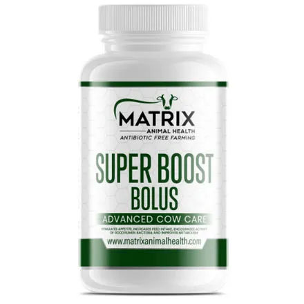 Matrix Super Boost Bolus 6 Cow Pack