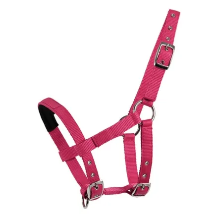 Mini Shetland Halter - Azalea